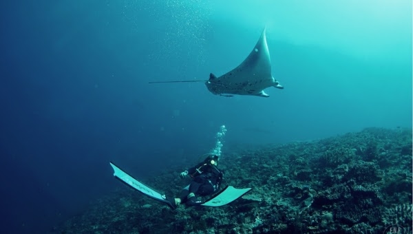 Vibrant Colours - The Candy Store