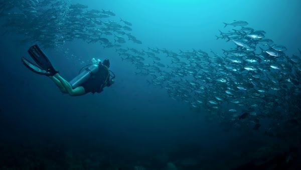 Pulau Batanta - Seabat Ridge